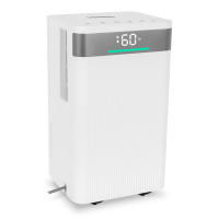 Deumidificatore 12L/giorno - Serbatoio da 2L